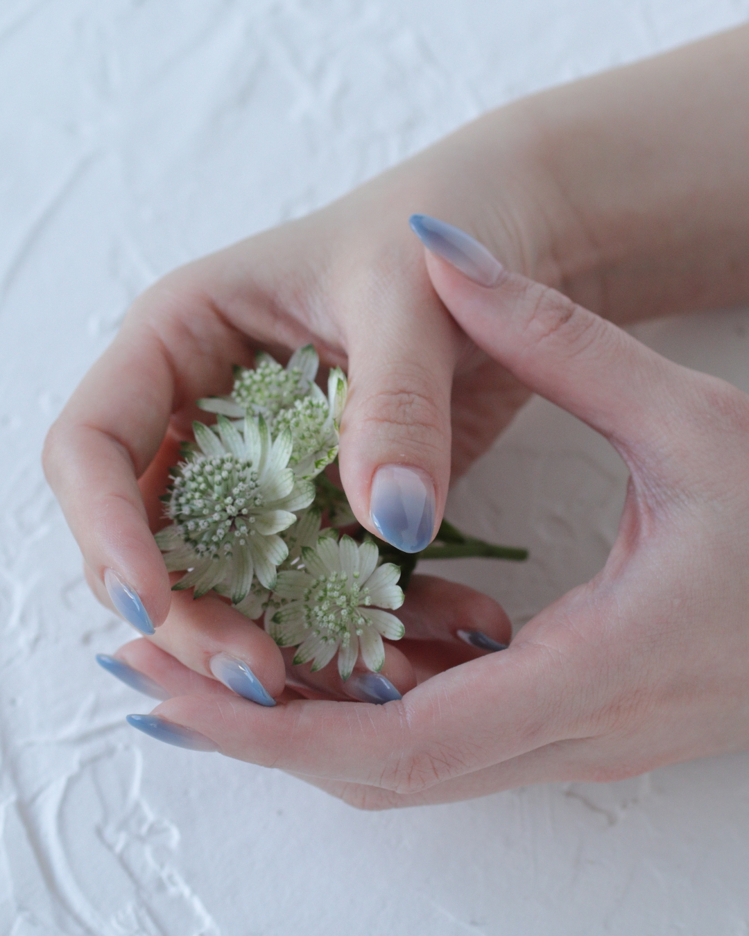 新百合ヶ丘パラジェル＆カルジェルネイルサロン「ネイルマーナ」グラデーションネイル2026