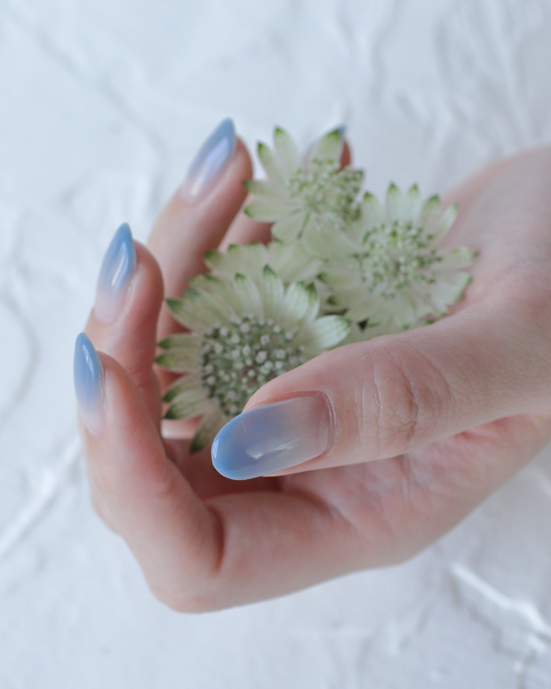 新百合ヶ丘パラジェル＆カルジェルネイルサロン「ネイルマーナ」グラデーションネイル2026