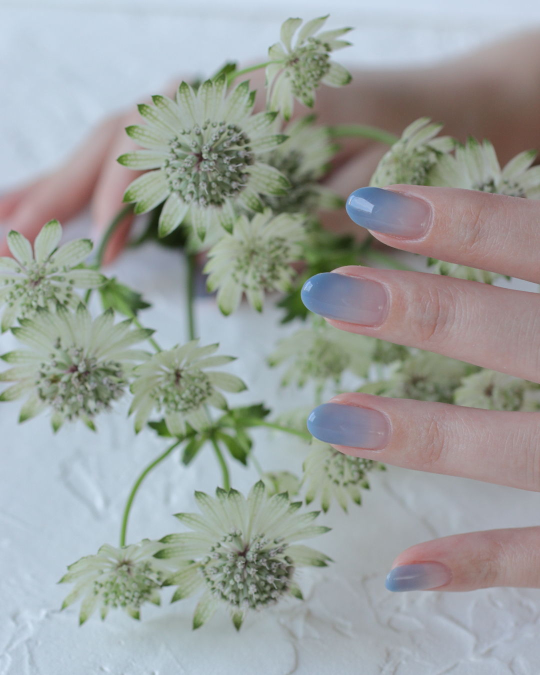 新百合ヶ丘パラジェル＆カルジェルネイルサロン「ネイルマーナ」グラデーションネイル2026