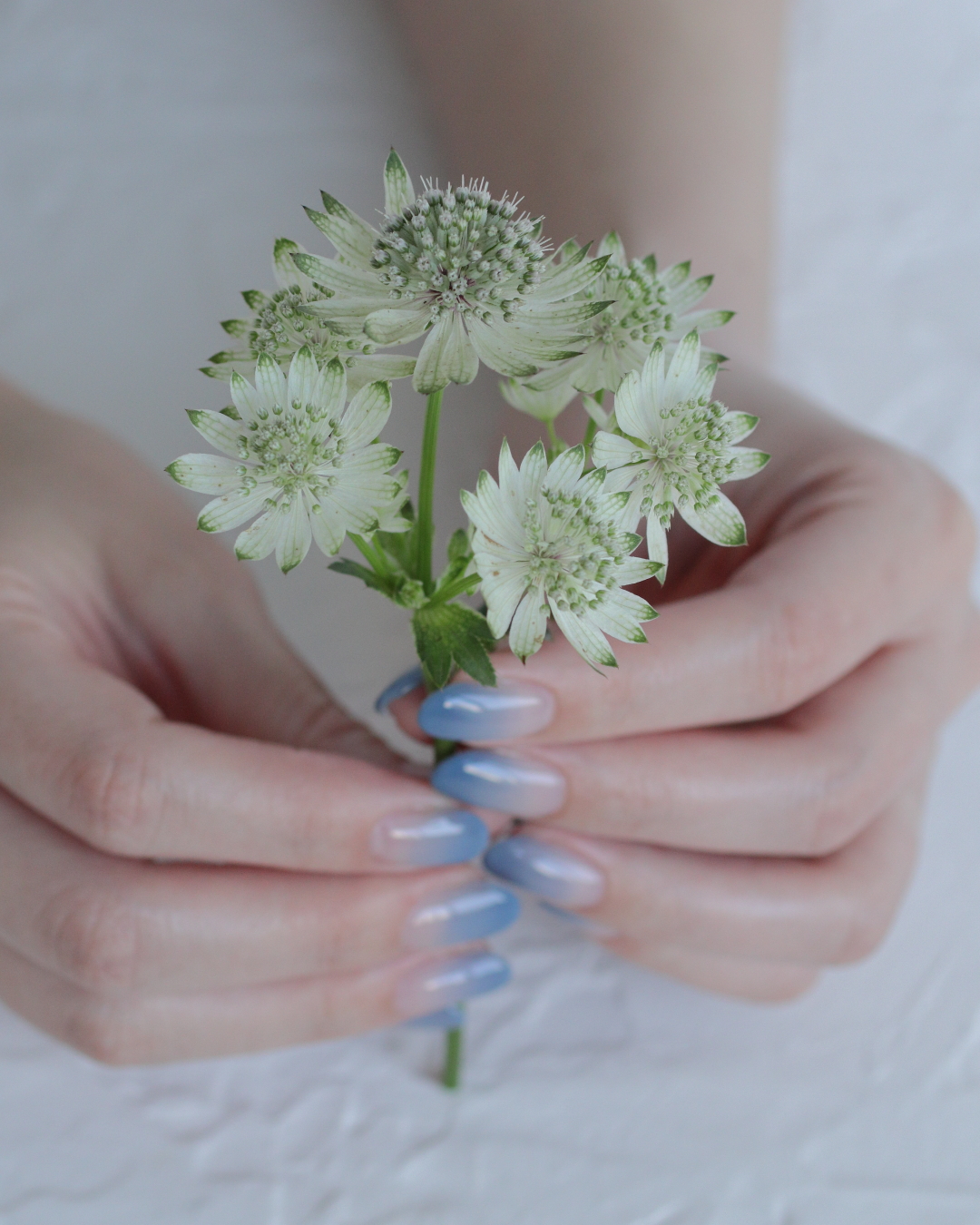 新百合ヶ丘パラジェル＆カルジェルネイルサロン「ネイルマーナ」グラデーションネイル2026