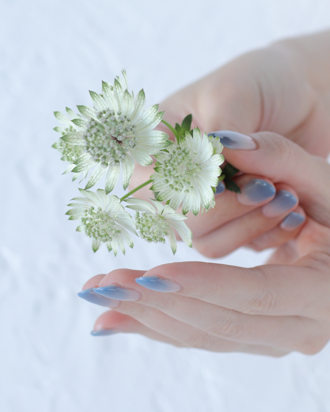 新百合ヶ丘パラジェル＆カルジェルネイルサロン「ネイルマーナ」グラデーションネイル2026