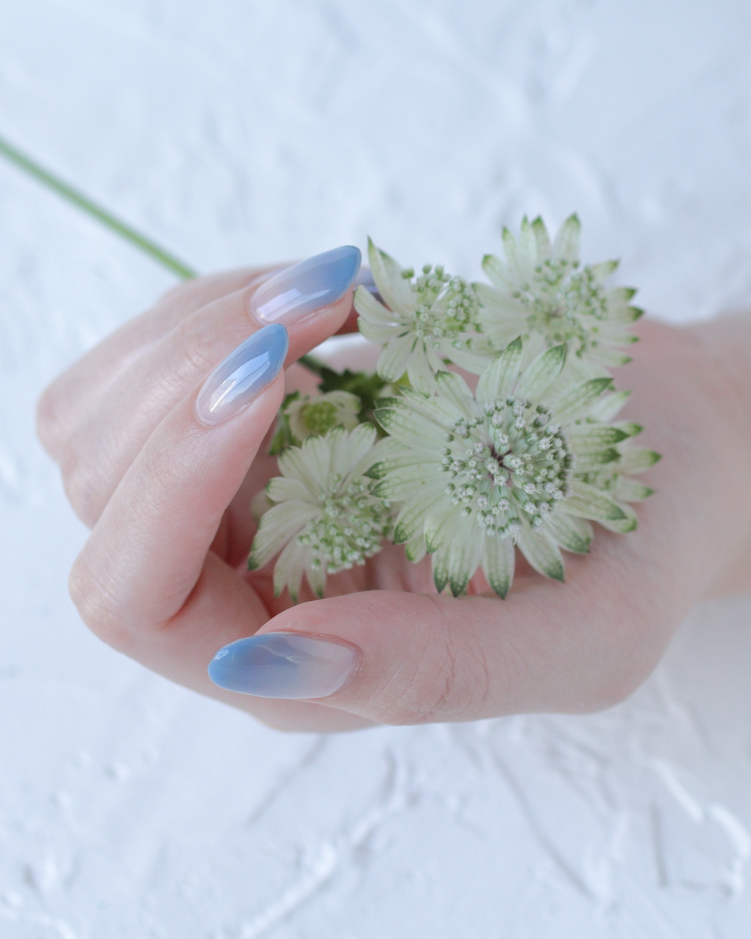 新百合ヶ丘パラジェル＆カルジェルネイルサロン「ネイルマーナ」グラデーションネイル2026